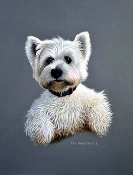 Westie 3